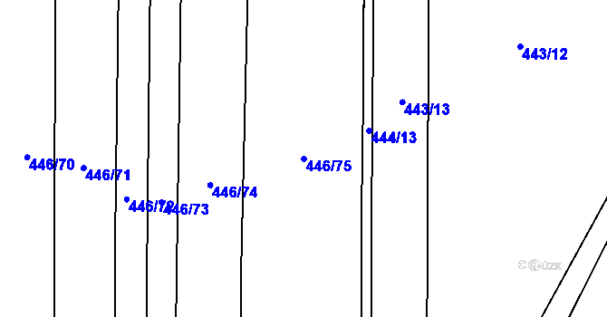 Parcela st. 446/75 v KÚ Homole, Katastrální mapa