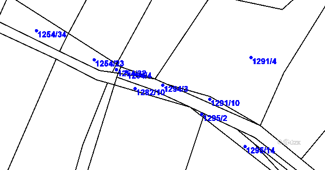 Parcela st. 1294/3 v KÚ Závraty, Katastrální mapa
