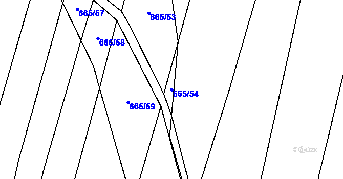 Parcela st. 665/54 v KÚ Honětice, Katastrální mapa