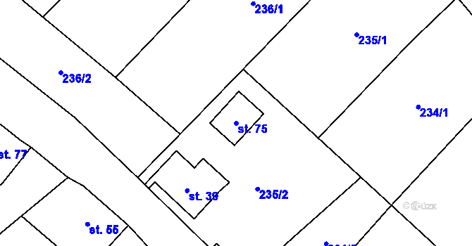 Parcela st. 75 v KÚ Rudolice v Horách, Katastrální mapa
