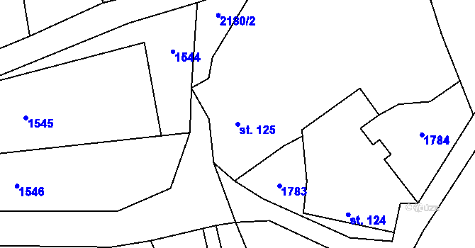 Parcela st. 125 v KÚ Horka nad Sázavou, Katastrální mapa
