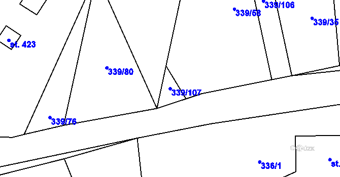 Parcela st. 339/107 v KÚ Horka nad Sázavou, Katastrální mapa