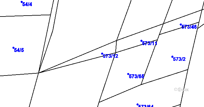 Parcela st. 573/12 v KÚ Horky u Tábora, Katastrální mapa