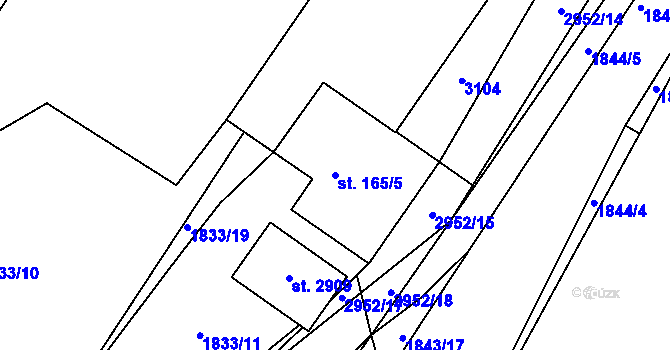 Parcela st. 165/5 v KÚ Horní Bělá, Katastrální mapa