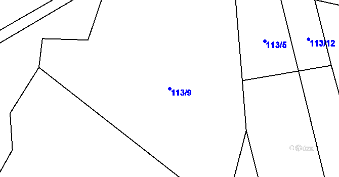 Parcela st. 113/9 v KÚ Travná u Horního Bradla, Katastrální mapa