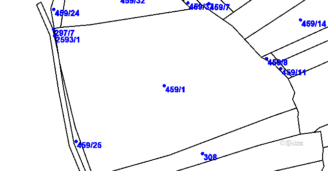 Parcela st. 459/1 v KÚ Horní Cerekev, Katastrální mapa