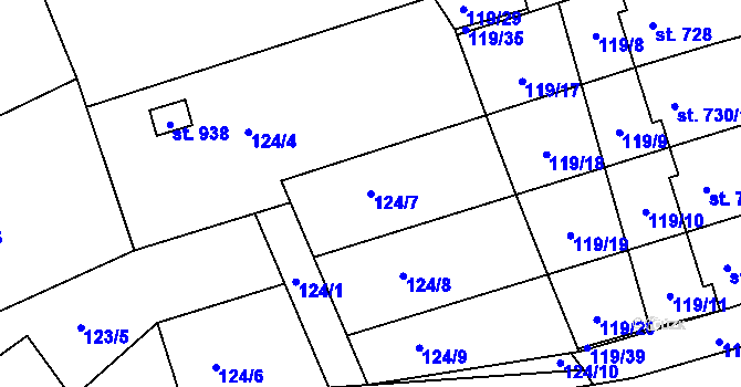 Parcela st. 124/7 v KÚ Horní Cerekev, Katastrální mapa