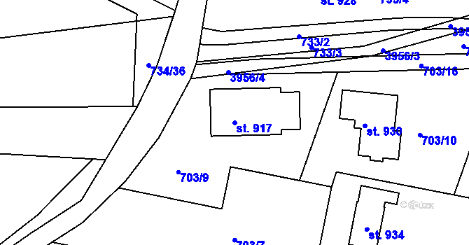 Parcela st. 917 v KÚ Horní Čermná, Katastrální mapa