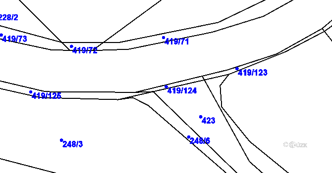 Parcela st. 419/124 v KÚ Horní Datyně, Katastrální mapa