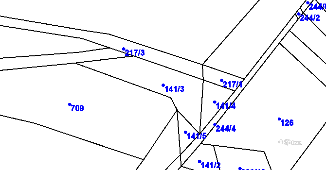 Parcela st. 141/3 v KÚ Domčice, Katastrální mapa