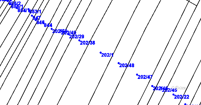 Parcela st. 202/1 v KÚ Domčice, Katastrální mapa
