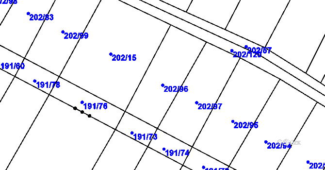 Parcela st. 202/96 v KÚ Domčice, Katastrální mapa