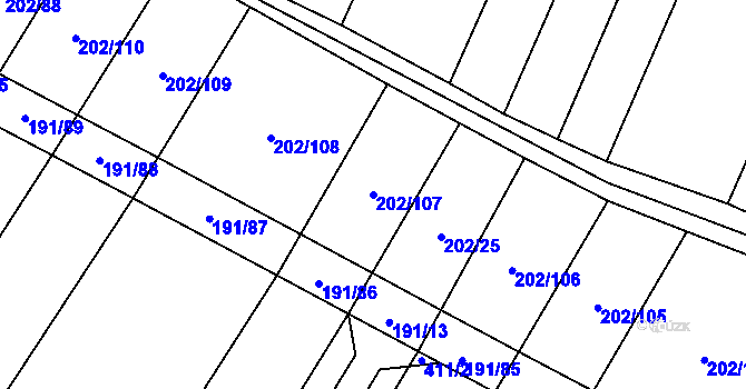 Parcela st. 202/107 v KÚ Domčice, Katastrální mapa