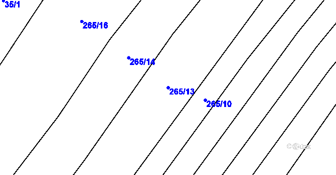 Parcela st. 265/13 v KÚ Domčice, Katastrální mapa