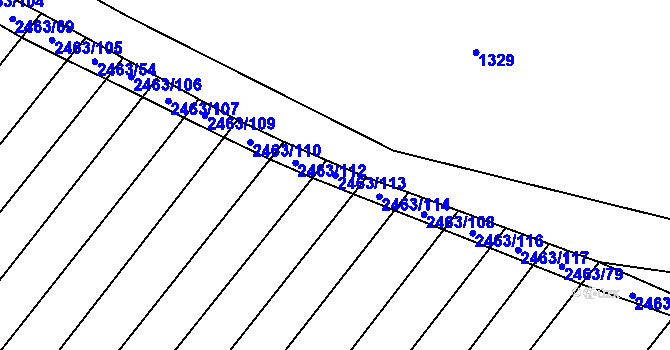 Parcela st. 2463/113 v KÚ Horní Dunajovice, Katastrální mapa