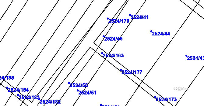 Parcela st. 2524/163 v KÚ Horní Dunajovice, Katastrální mapa