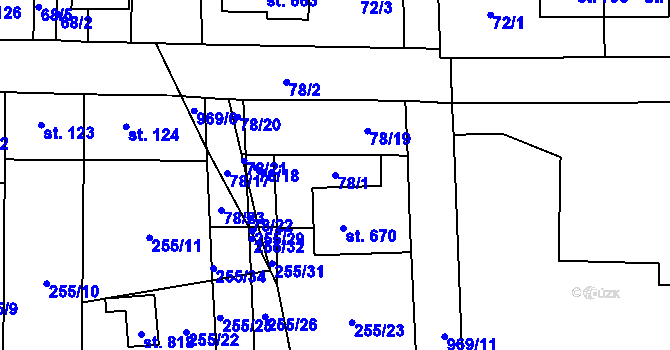 Parcela st. 78/1 v KÚ Horní Jelení, Katastrální mapa