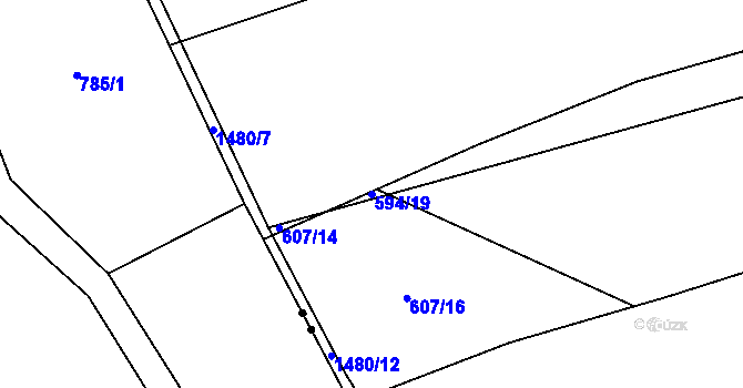 Parcela st. 594/19 v KÚ Horní Kruty, Katastrální mapa