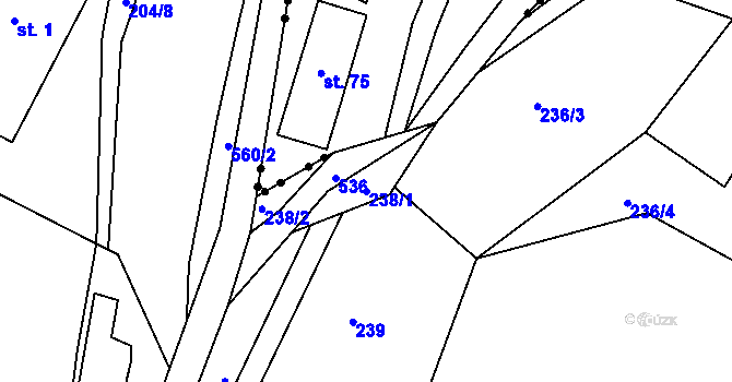 Parcela st. 238/1 v KÚ Dolní Albeřice, Katastrální mapa