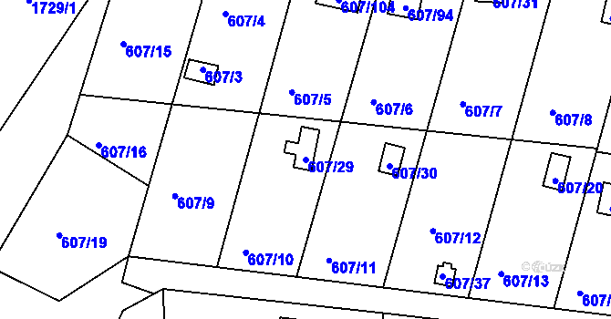Parcela st. 607/29 v KÚ Horní Planá, Katastrální mapa