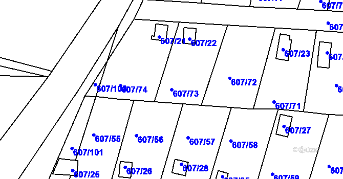 Parcela st. 607/73 v KÚ Horní Planá, Katastrální mapa