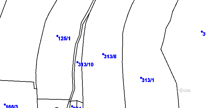 Parcela st. 313/8 v KÚ Horní Podluží, Katastrální mapa