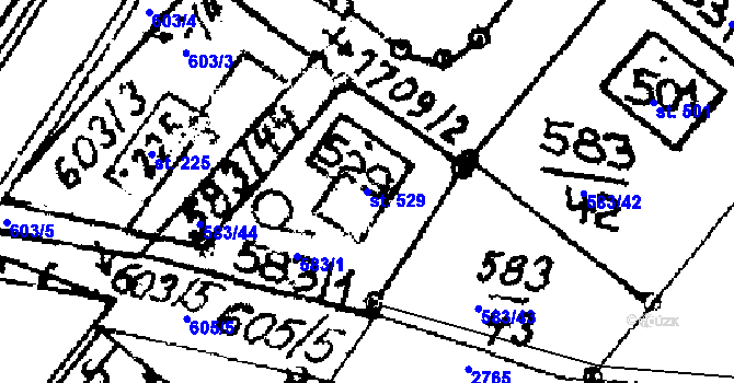 Parcela st. 529 v KÚ Horní Ředice, Katastrální mapa