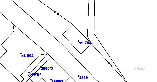 Parcela st. 784 v KÚ Horní Slavkov, Katastrální mapa