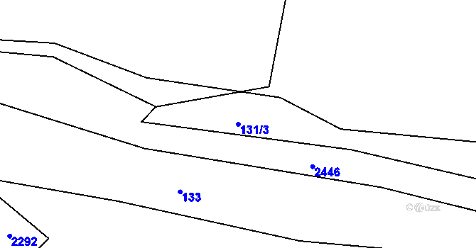 Parcela st. 131/3 v KÚ Horní Stropnice, Katastrální mapa