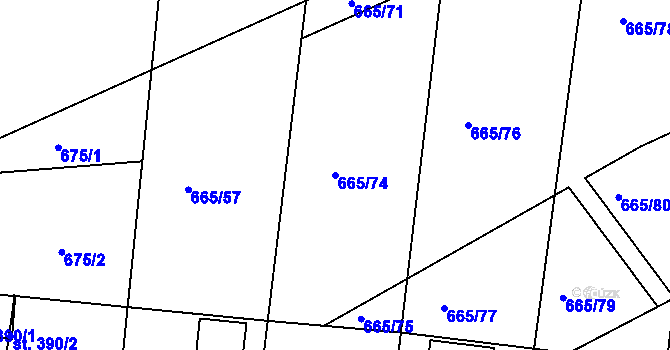 Parcela st. 665/74 v KÚ Horní Stropnice, Katastrální mapa
