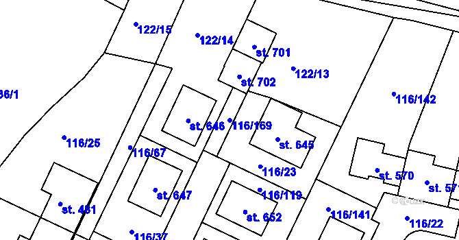 Parcela st. 116/169 v KÚ Horoušany, Katastrální mapa