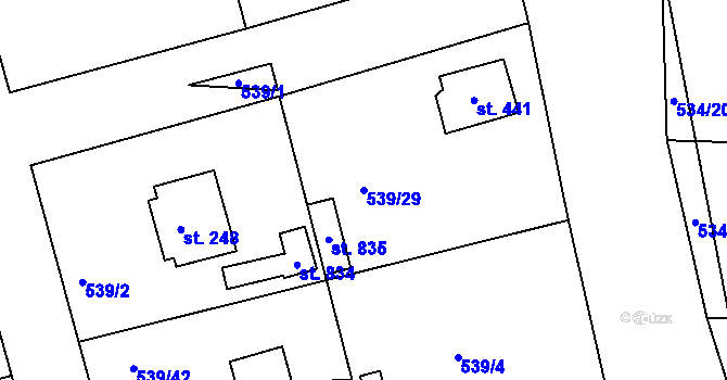 Parcela st. 539/29 v KÚ Horoušany, Katastrální mapa