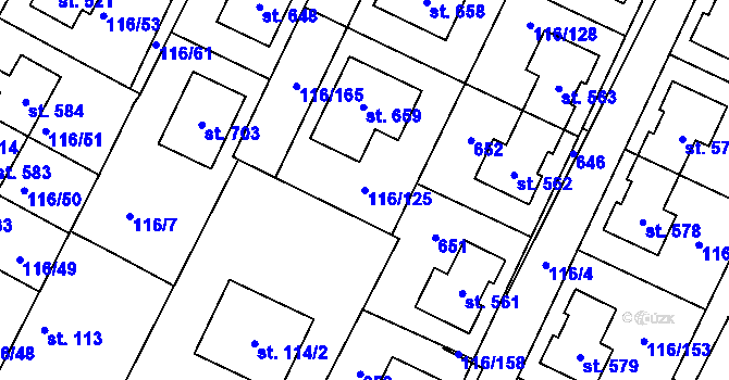 Parcela st. 116/125 v KÚ Horoušany, Katastrální mapa