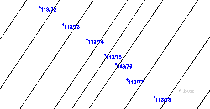Parcela st. 113/75 v KÚ Dolce, Katastrální mapa