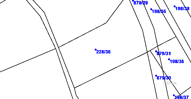 Parcela st. 228/36 v KÚ Horšice, Katastrální mapa