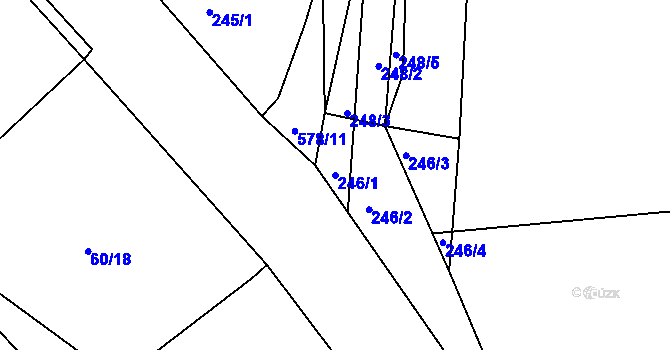 Parcela st. 246/1 v KÚ Týniště u Horšic, Katastrální mapa