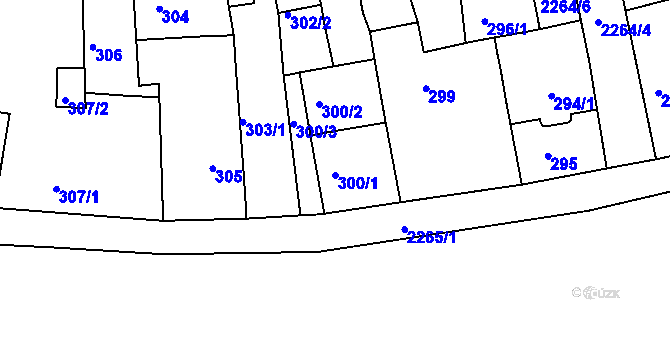 Parcela st. 300/1 v KÚ Horšovský Týn, Katastrální mapa