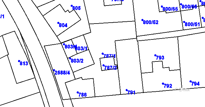 Parcela st. 787/1 v KÚ Horšovský Týn, Katastrální mapa