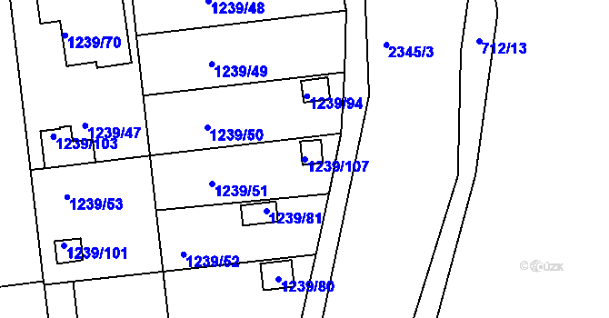 Parcela st. 1239/107 v KÚ Horšovský Týn, Katastrální mapa