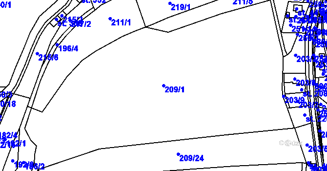 Parcela st. 209/1 v KÚ Hořepník, Katastrální mapa