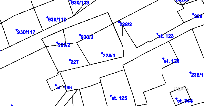 Parcela st. 228/1 v KÚ Hořepník, Katastrální mapa