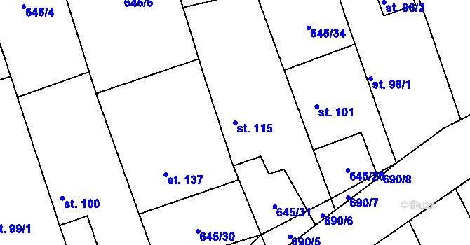 Parcela st. 115 v KÚ Hořešovice, Katastrální mapa