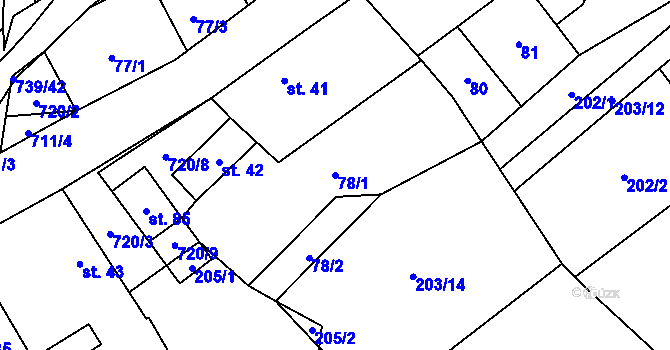 Parcela st. 78/1 v KÚ Hořešovice, Katastrální mapa