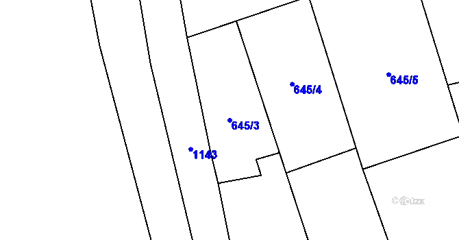 Parcela st. 645/3 v KÚ Hořešovice, Katastrální mapa