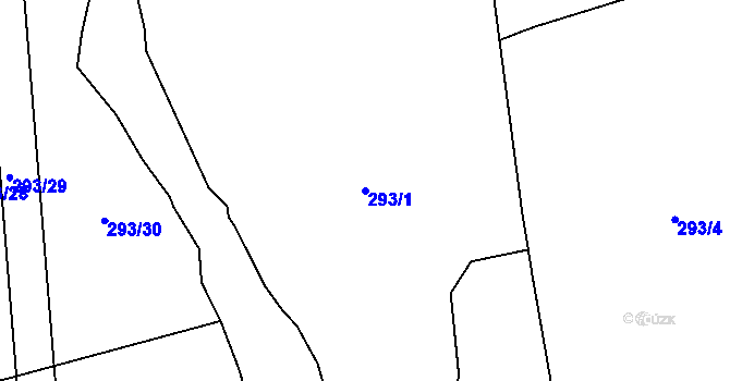 Parcela st. 293/1 v KÚ Hosín, Katastrální mapa