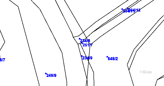 Parcela st. 251/7 v KÚ Hostim u Berouna, Katastrální mapa
