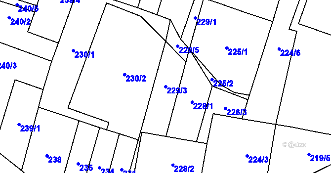 Parcela st. 229/3 v KÚ Hostim, Katastrální mapa