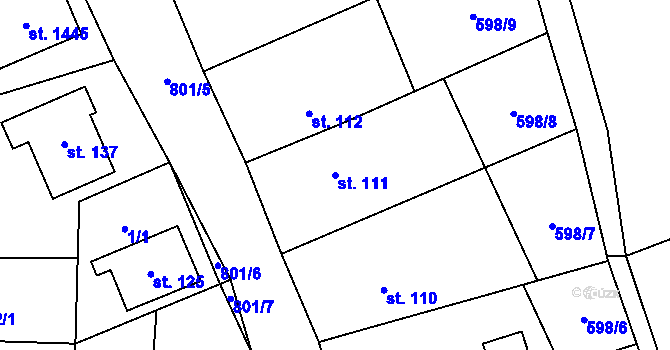 Parcela st. 111 v KÚ Hoštice, Katastrální mapa