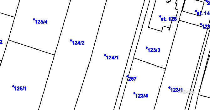 Parcela st. 124/1 v KÚ Hrabství, Katastrální mapa
