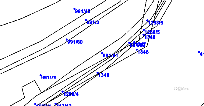 Parcela st. 991/81 v KÚ Hrádek u Sušice, Katastrální mapa
